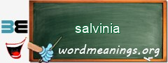 WordMeaning blackboard for salvinia